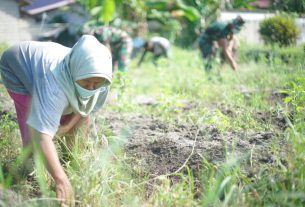 Danrindam XII/Tpr: Upaya Rindam XII/Tpr Dukung Ketahanan Pangan