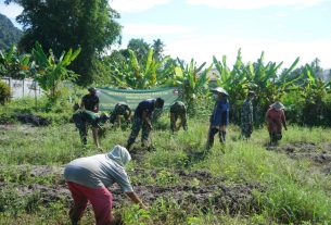 Pentingnya Jaga Ketahanan Pangan di Masa Pandemi