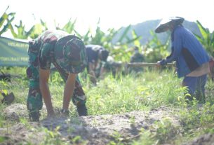 Program Ketahanan Pangan Rindam XII/Tpr, Ibu Saidah: Terima Kasih TNI