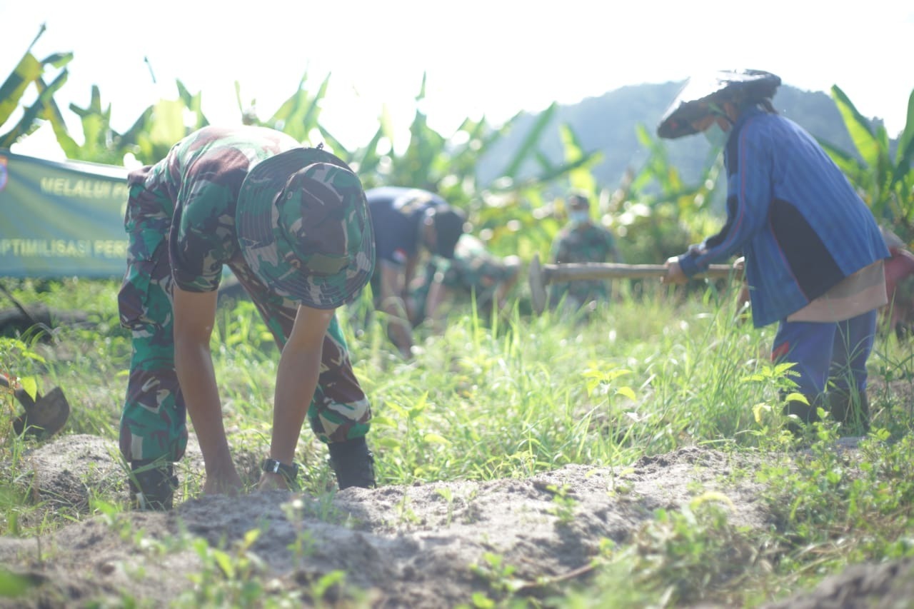 Program Ketahanan Pangan Rindam XII/Tpr, Ibu Saidah: Terima Kasih TNI