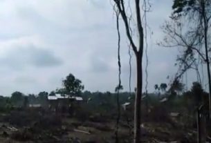 Berdalih Gapoktan, Ribuan Hektar SM Dangku Dirambah