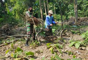 Marsudi Kakek Berusia 64 Tahun Pencari Kayu Bakar