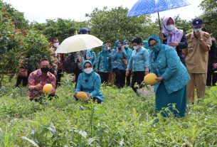 Ketua TP PKK Provinsi Lampung meninjau Kawasan Wisata PKK-Agropark Sabah Balau