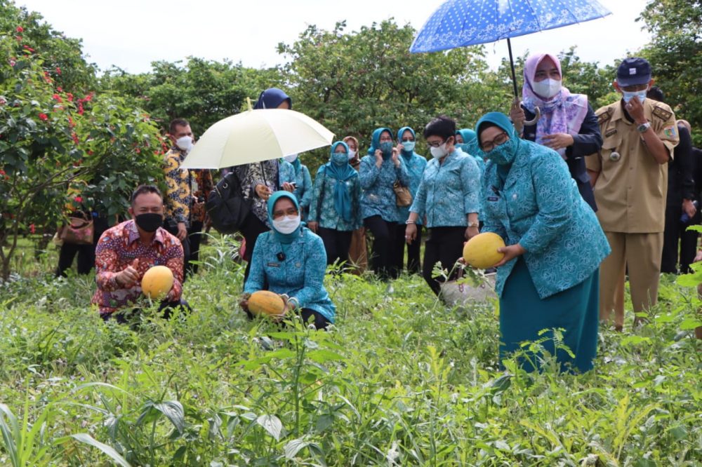 Ketua TP PKK Provinsi Lampung meninjau Kawasan Wisata PKK-Agropark Sabah Balau