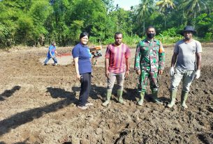 Babinsa Pantai Timur bersama Dinas Pertanian Bantu Gemburkan Tanah Milik Warga di lokasi TMMD