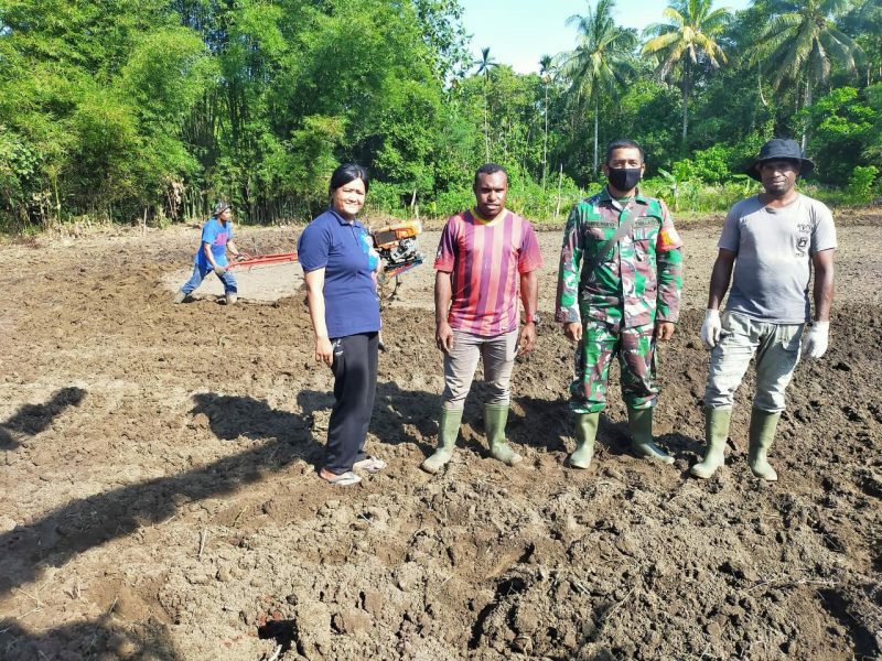 Babinsa Pantai Timur bersama Dinas Pertanian Bantu Gemburkan Tanah Milik Warga di lokasi TMMD