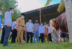 Bupati Dodi Reza Sebar Puluhan Hewan Kurban untuk Warga Muba