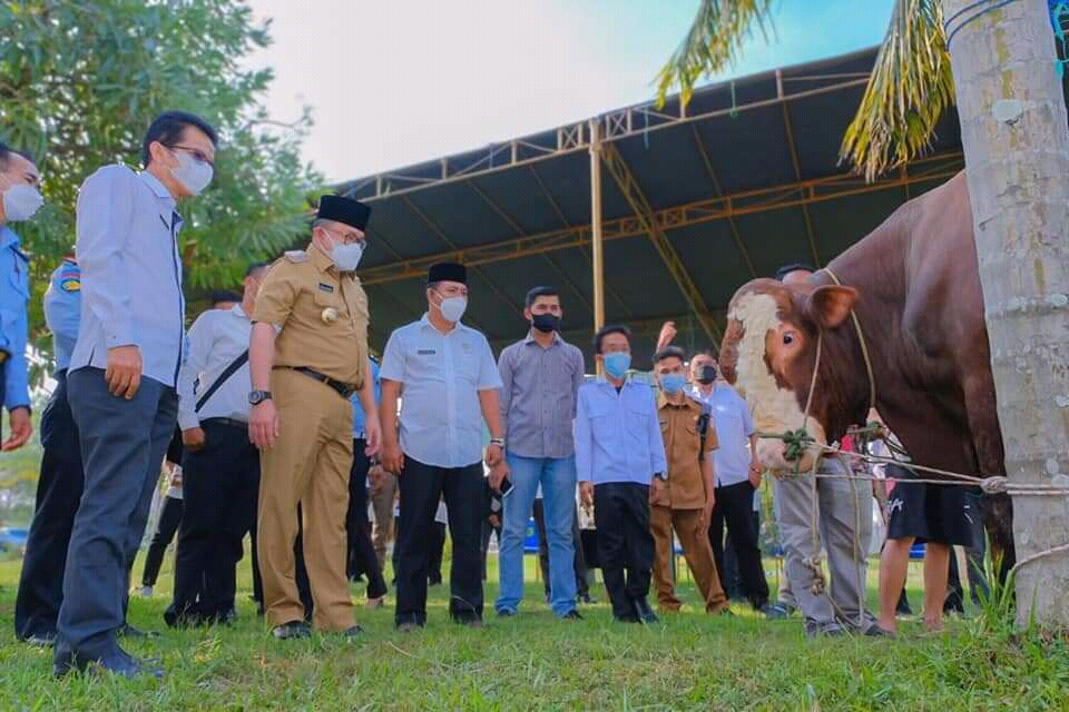 Bupati Dodi Reza Sebar Puluhan Hewan Kurban untuk Warga Muba