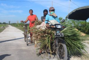 Jasmani Merasakan Manfaat Jalan Baru