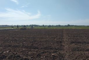 Pembangunan Jalan Di Tengah Sawah Jalan Penghubung Desa Tamansari, menuju Desa Sumberarum