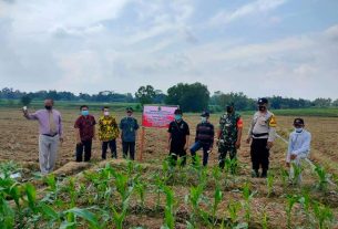 Pengadilan Agama Kelas IB Gunung Sugih Laksanakan Sita Eksekusi