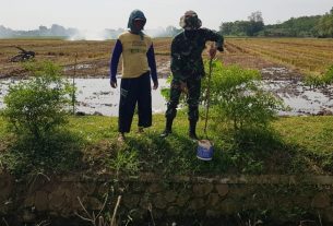 Petani Cabai Desa Tamansari Kebutuhan Air Untuk Penyiraman Masih Aman