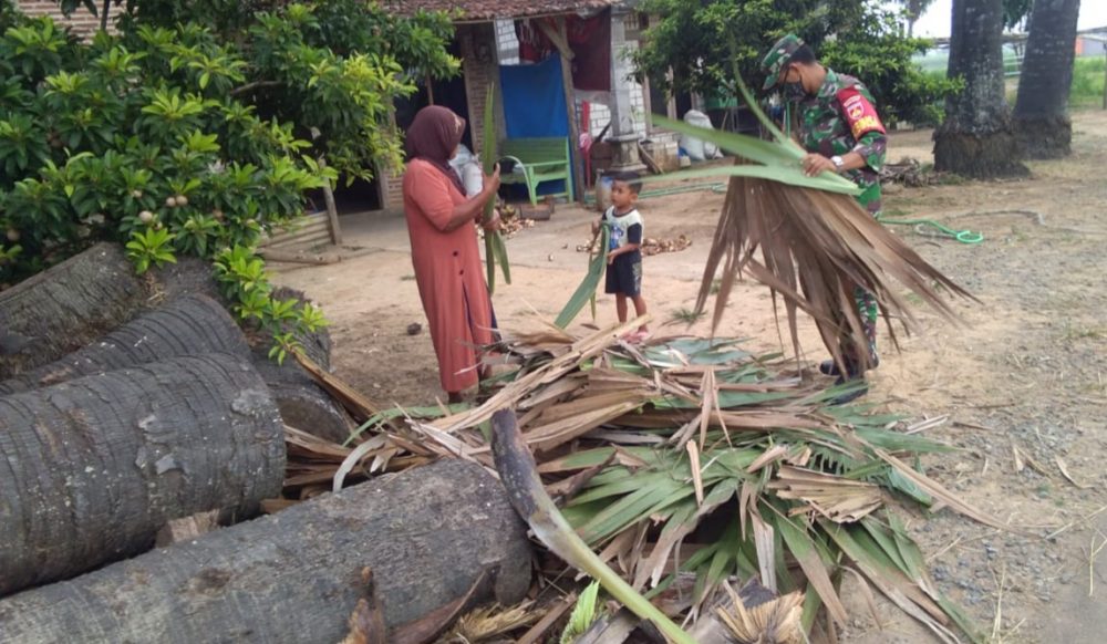 Populasi Pohon Siwalan Di Tamansari Semakin Berkurang