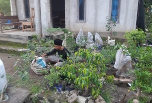 Sepulangnya Satgas TMMD Edi Pranoto Kembali Bekerja Membuat Bonsai