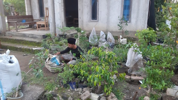 Sepulangnya Satgas TMMD Edi Pranoto Kembali Bekerja Membuat Bonsai