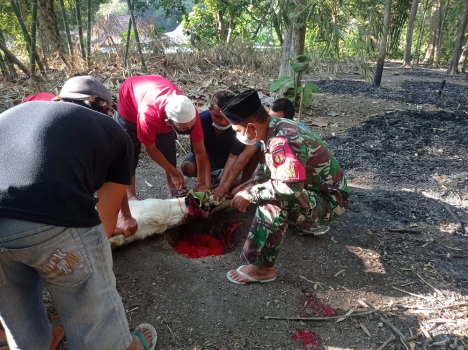 Sinergritas Babinsa Gemolong Salurkan Hewan Qurban