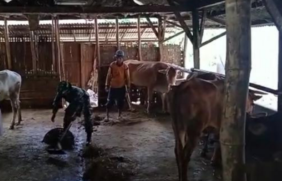 NI Satgas TMMD, Apa Saja Bisa Dilakukan
