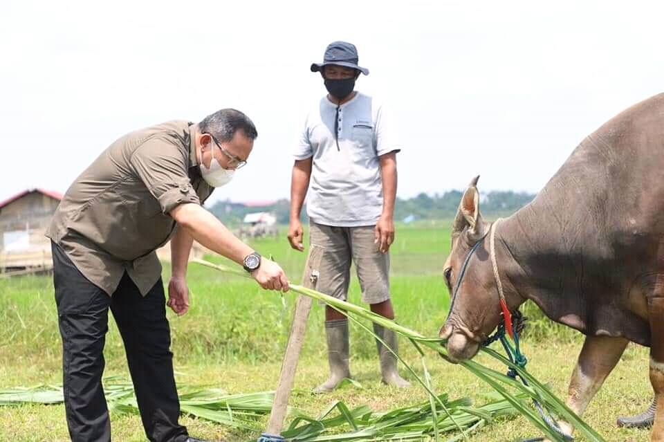 Dodi Reza Minta Pembagian Hewan Kurban Door to Door