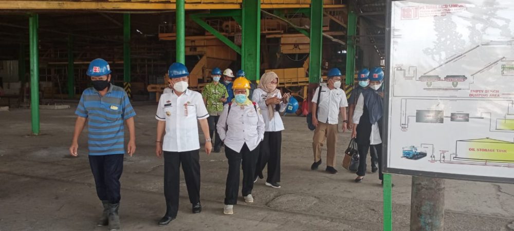 Kadis Perkebunan Provinsi Lampung Berkunjung ke PT Tunas Baru