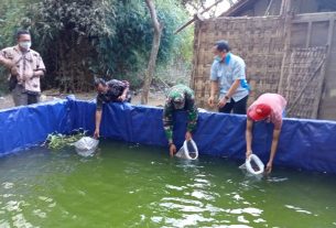 Mencoba Peruntungan Budidaya Ikan Nila Dengan Methode Sederhana