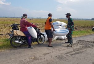 Satgas TMMD Bantu Angkat Gabah Hasil Panen Warga