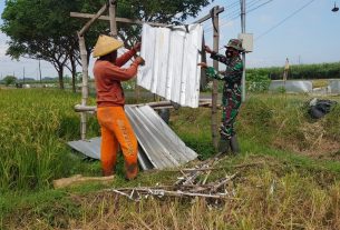 Satgas TMMD Bantu Warga Rehab Gubuk Sawahnya Yang Rusak