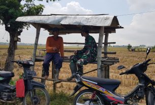 Satgas TMMD Dan Warga Gunakan Gubuk Untuk Berteduh Saat Istirahat Bekerja
