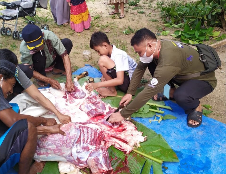 Disnakkeswan Tubaba Turunkan Tim Pantau Kesehatan Hewan Kurban