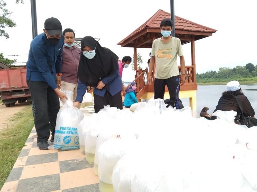 Jaga Ekosistem, 140 Ribu Benih Ikan Ditebar