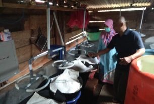 Otomasisasi Penyiraman, Pemilik UMKM Taoge di Langkapura Sangat Terbantu