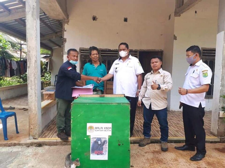 Warga Lais Serahkan Siamang Langka ke BKSDA Sumsel
