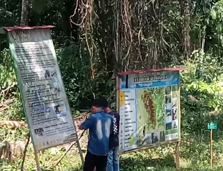 Legmas Pelhut Dampingi KWH Bukit Pendape Lestari Melakukan Giat Penanaman Pohon