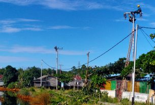 Dukung Ketahanan Pangan Nasional, PLN Siap Pasok Listrik ke Kawasan Food Estate Kalteng