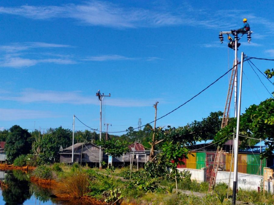 Dukung Ketahanan Pangan Nasional, PLN Siap Pasok Listrik ke Kawasan Food Estate Kalteng