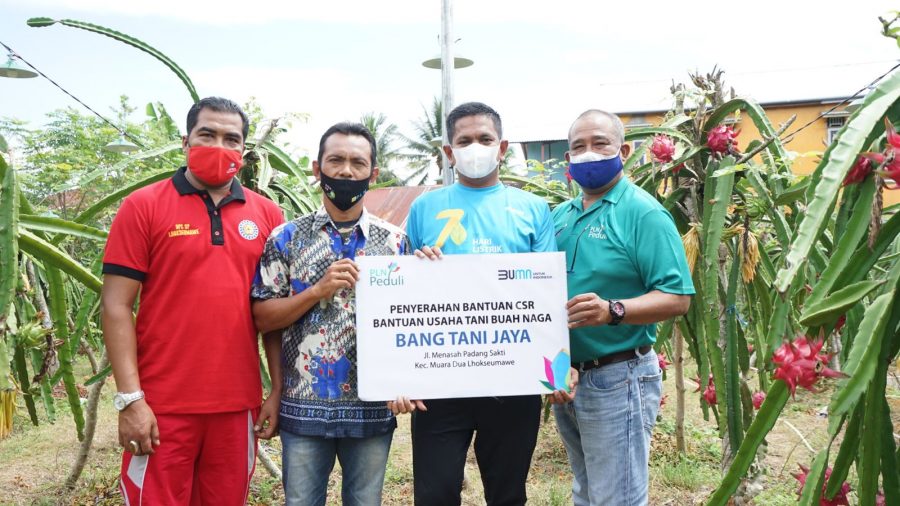 Gunakan Listrik untuk Rekayasa Sinar Matahari, Hasil Panen Petani Buah Naga Naik 2,5 Kali Lipat