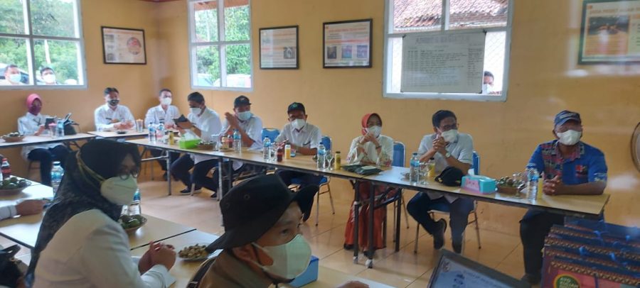 Kunjungi Peternakan Rakyat Lampung, Kemendes PDTT Merencanakan Program Desa Ternak Terpadu