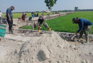 Kejar Target, Bahu jalan di lokasi talud jalan Dk. Majasto - Dk. Boto terus dilakukan pengurugan