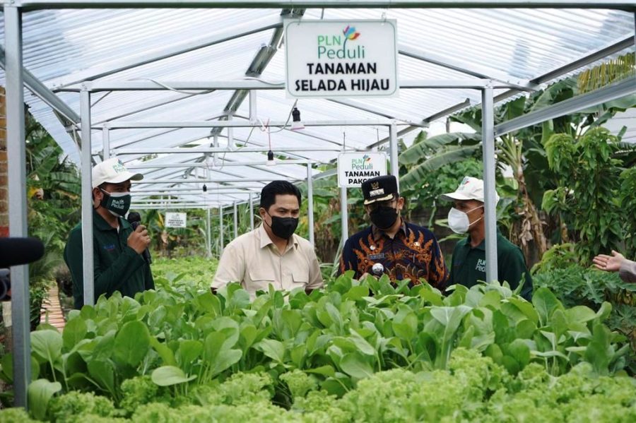 Menteri BUMN Dukung Program Electrifying Agriculture PLN