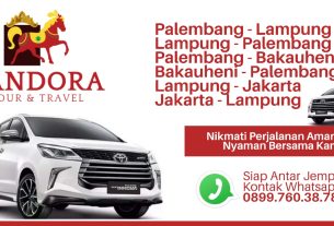 Pandora Tour & Travel Siap Layani Perjalanan Anda