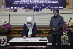 Wagub Chusnunia Apresiasi Persetujuan DPRD terhadap Perda Setaraan Gender