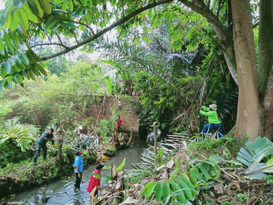 Cegah Musibah Banjir, Sertu Hadori bersama Tiga Pilar dan Komponen Masyarakat Labuhan Ratu Raya Bersihkan Sungai