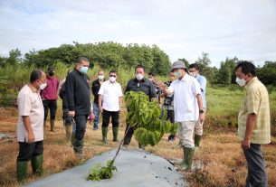 Gubernur Lampung Tinjau Presicion Agriculture di Jawa Barat
