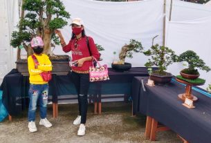 Ratusan Bonsai Ikut Meriahkan Hut ke-13 Mesuji