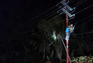 PLN UP3 Nias mengerahkan tim siaga sebanyak 39 orang untuk memulihkan 22 penyulang serta 1.524 gardu dan melakukan penggantian tiang tumbang  