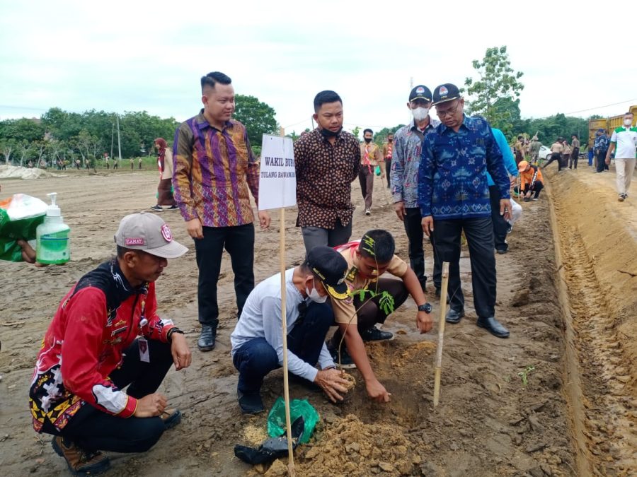 Pemkab Tubaba Bersama Kwarcab Pramuka Menanam Pohon