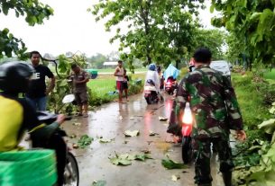 Bersama Warga, Babinsa Sugihwaras Bojonegoro Evakuasi Pohon Tumbang
