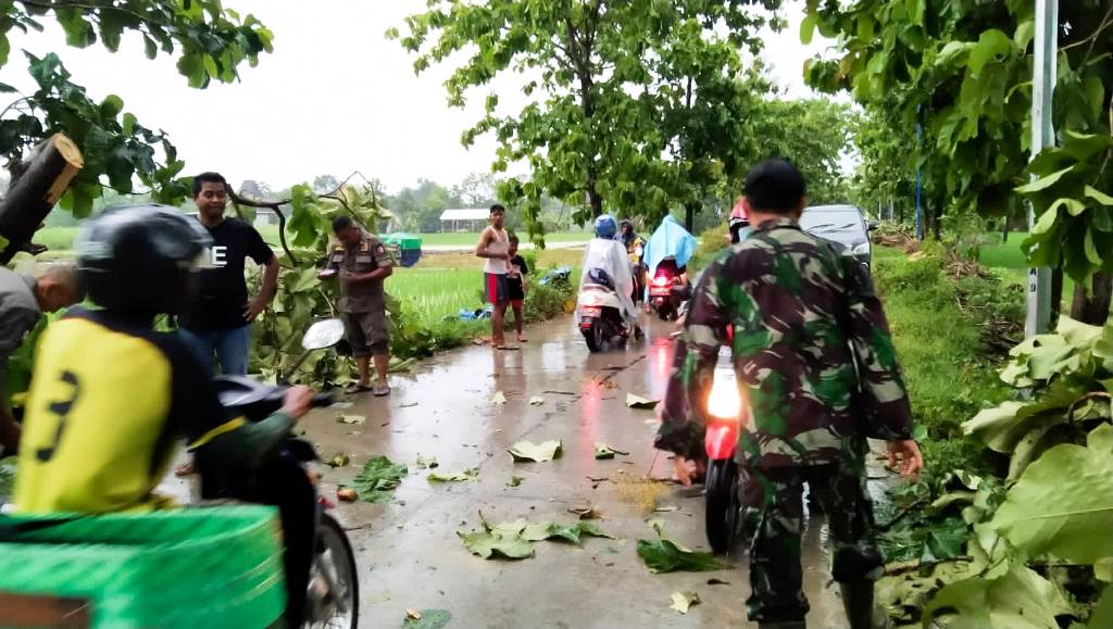 Bersama Warga, Babinsa Sugihwaras Bojonegoro Evakuasi Pohon Tumbang