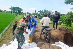 Bersama Warga Pilang, Koramil Kanor Perkuat Bibir Tanggul Sungai