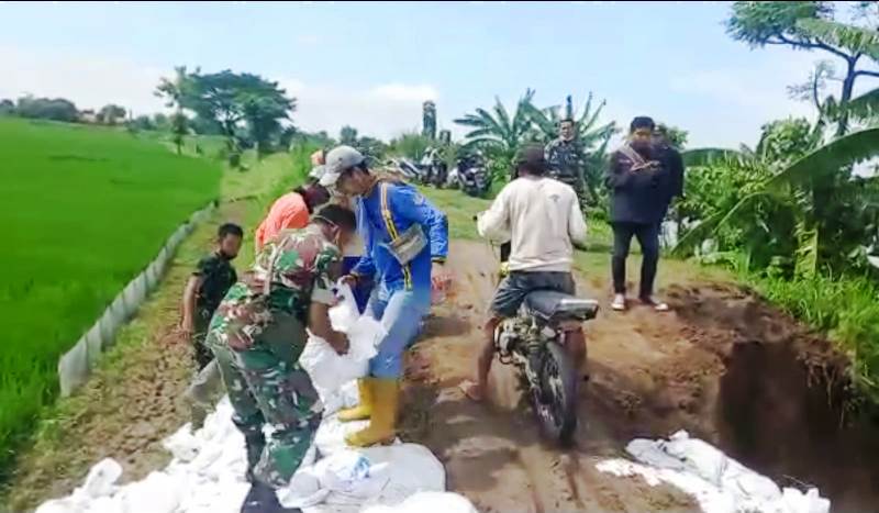 Bersama Warga Pilang, Koramil Kanor Perkuat Bibir Tanggul Sungai