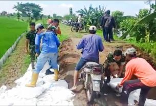 Bersama Warga Pilang, Koramil Kanor Perkuat Bibir Tanggul Sungai